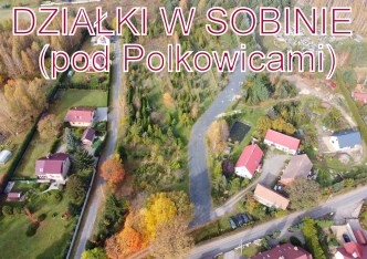 działka na sprzedaż - Polkowice (gw), Sobin