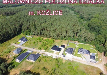 działka na sprzedaż - Rudna, Koźlice